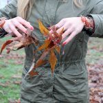 Carneool chroom armband